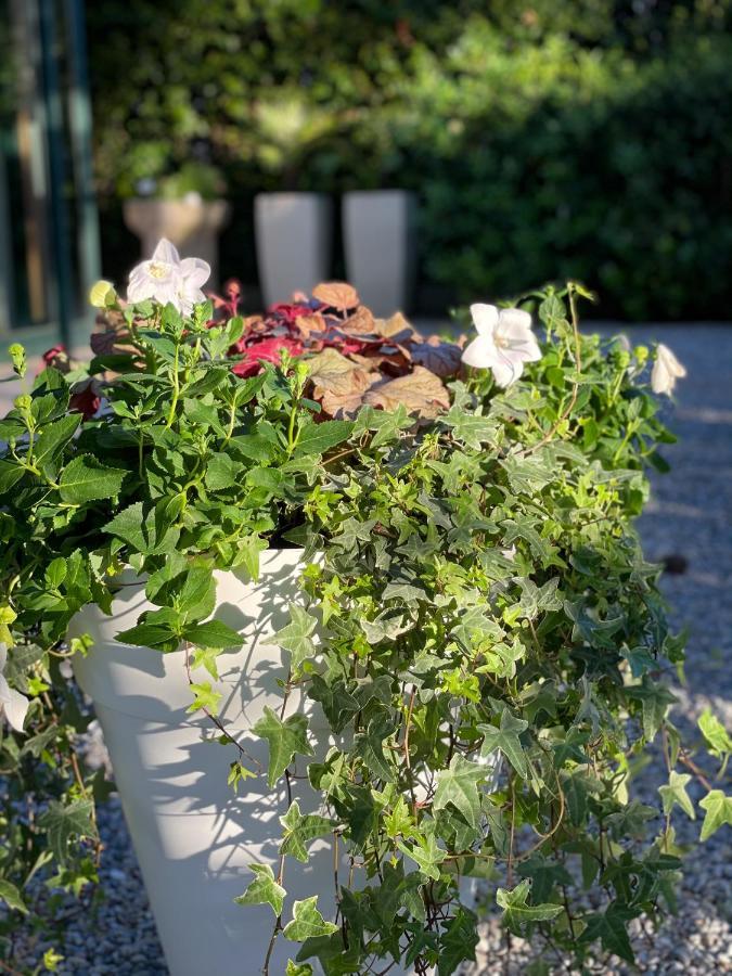 Hotel B&B Des Bains Milano Marittima Bagian luar foto